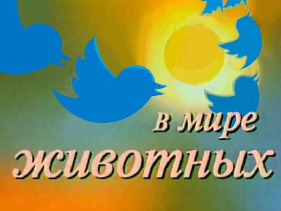 жиботных