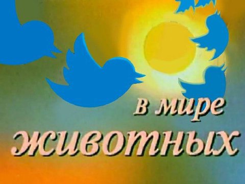 жиботных