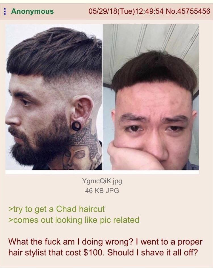 Anonymous 05/29/18(Tue)12:49:54 No.45755456 у YgmcQik.jpg 46 JPG >try to get a Chad haircut >comes out looking like pic related What the fuck doing wrong? went to a proper hair stylist that cost $100.