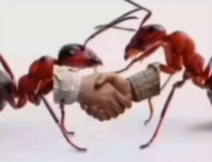 итог»