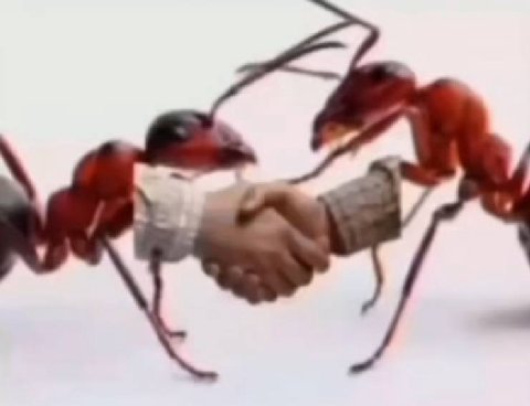 итог»