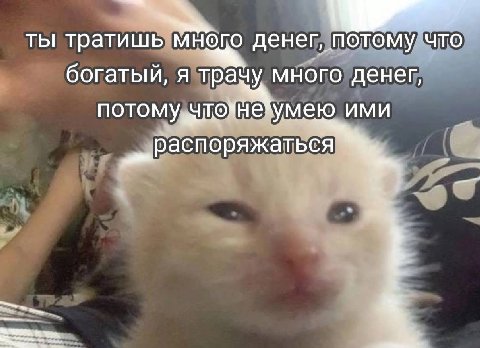 ты тратишь ого денег, потому что богатый, я тра много денег, ими распоряжаться