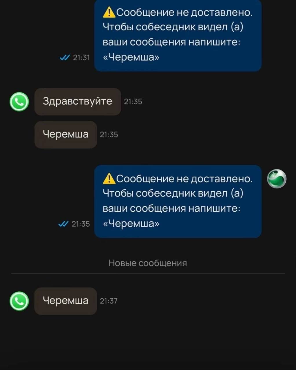 АСообщение не доставлено Чтобы собеседник видел (а) ваши сообщения напишите: 21:31 «Черемша» Здравствуйте 21:55 Черемша не доставлено. Чтобы собеседник видел (а) ваши сообщения напишите: 21:55 «Черемш