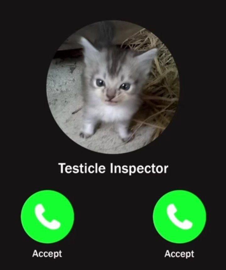 Testicle Inspector Accept Accept