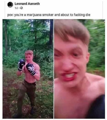 Leonard Aarseth 19.9 Pov: you're а marijuana smoker and about to fucking die ‚У
