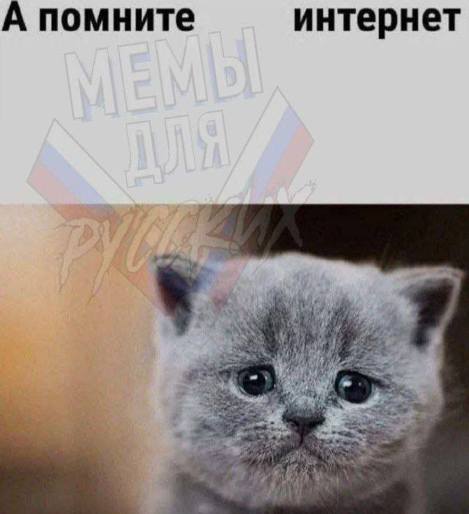 А помните интернет и у Я 4 у у