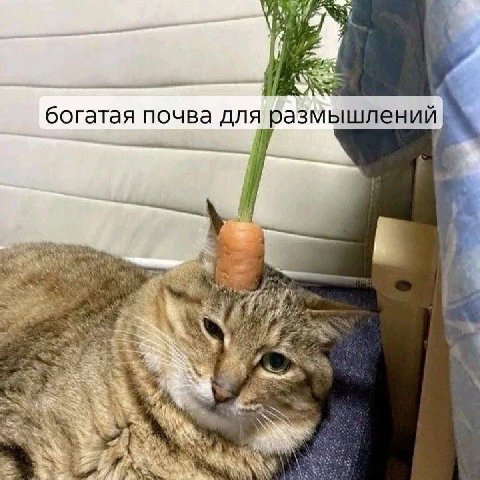 4 у богатая почва для размышлений 4 i 3