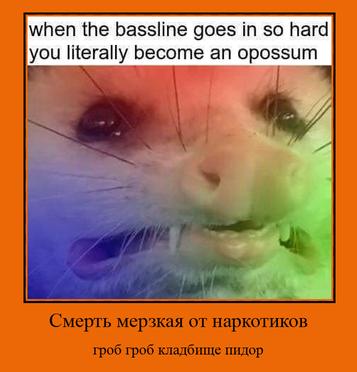 when the bassline goes in so hard you literally become an opossum