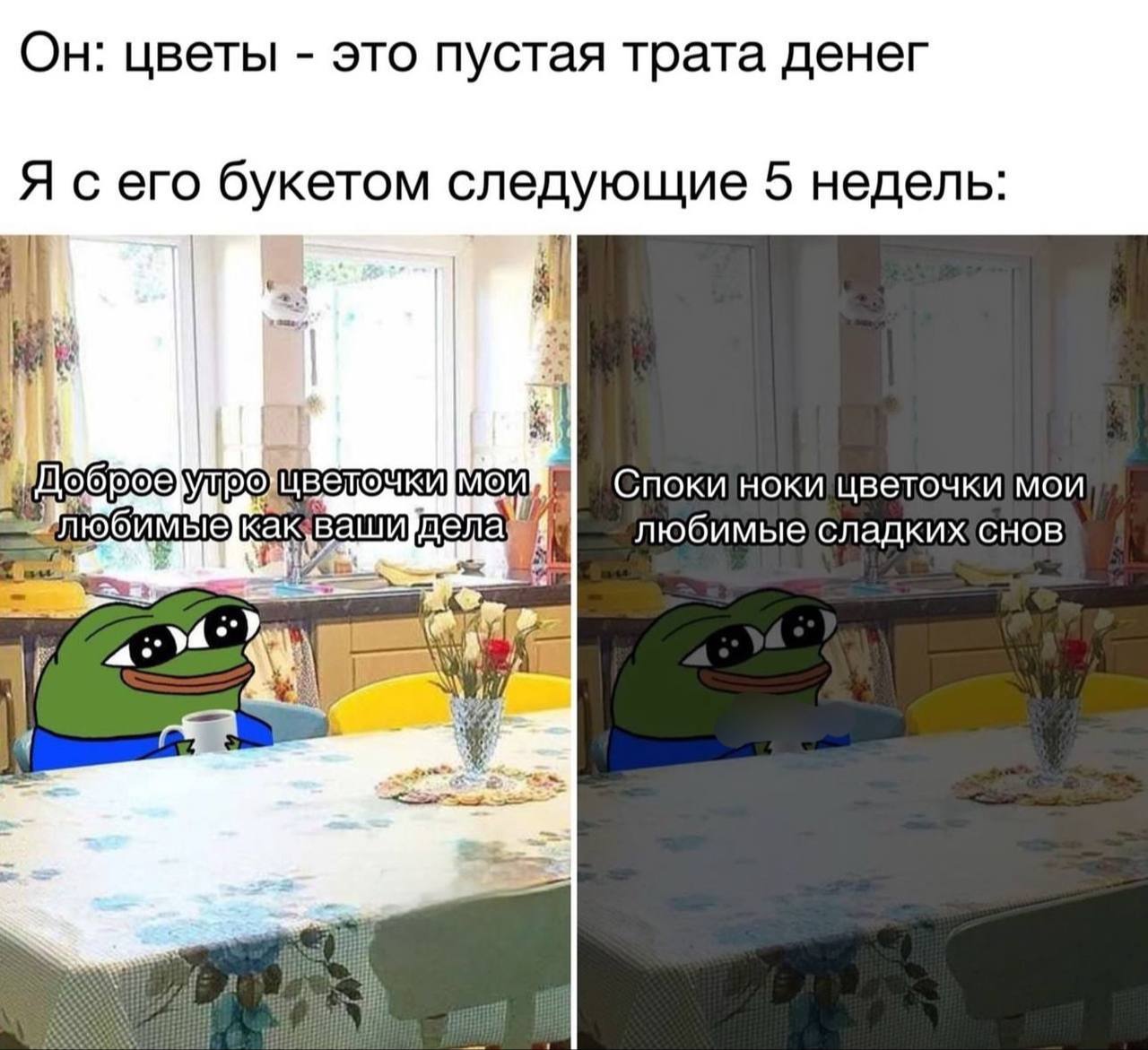 Он: цветы это пустая трата денег Я сего букетом следующие 5 недель: 4 1 Yupo: mou любимые сладкижснов