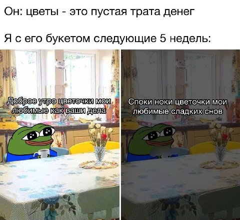 Он: цветы это пустая трата денег Я сего букетом следующие 5 недель: 4 1 Yupo: mou любимые сладкижснов
