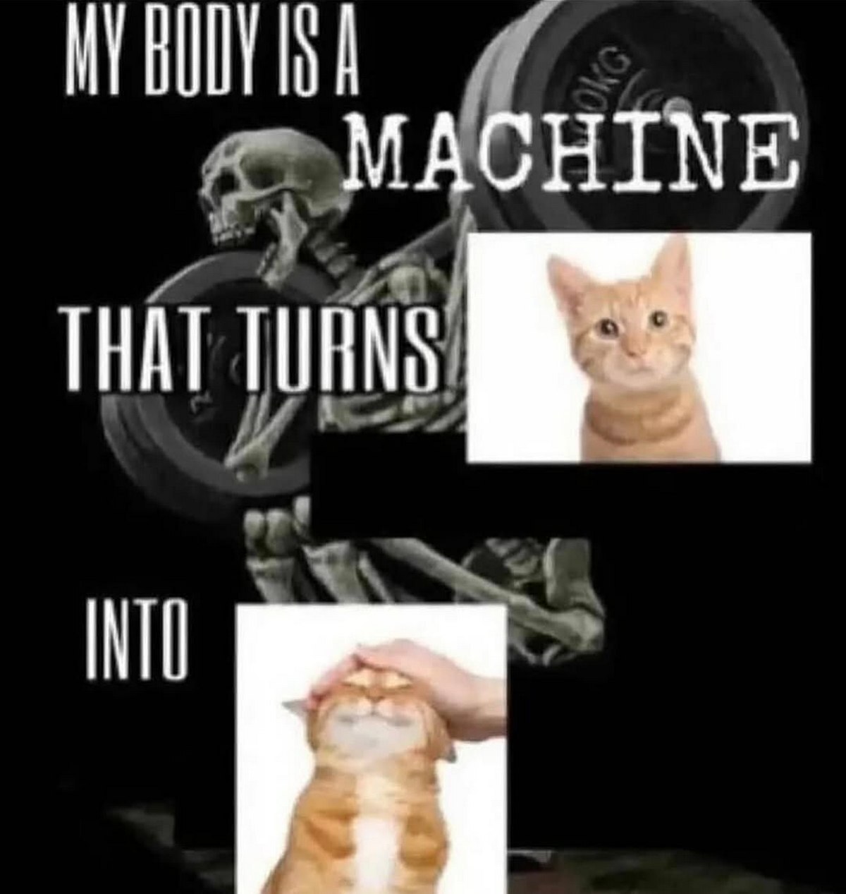 MACHINE