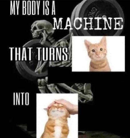 MACHINE