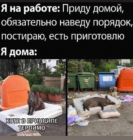 Я на работе: Приду домой, обязательно наведу порядок, постираю, есть приготовлю Я дома: РРЕ ПЕРПИМО