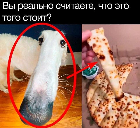 Вы реально считаете, что это ТОГО СТОИТ?