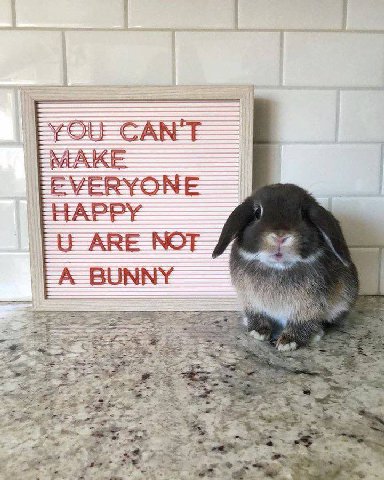 CAN'T EVERYONE HAPPY $2 ЕЕ ARE NOF A BUNNY 53 7%