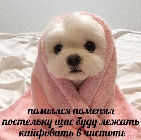 3 A 1 he и i 7 у a 6 4 у i 7 4 У Teg 1 4 Я 2