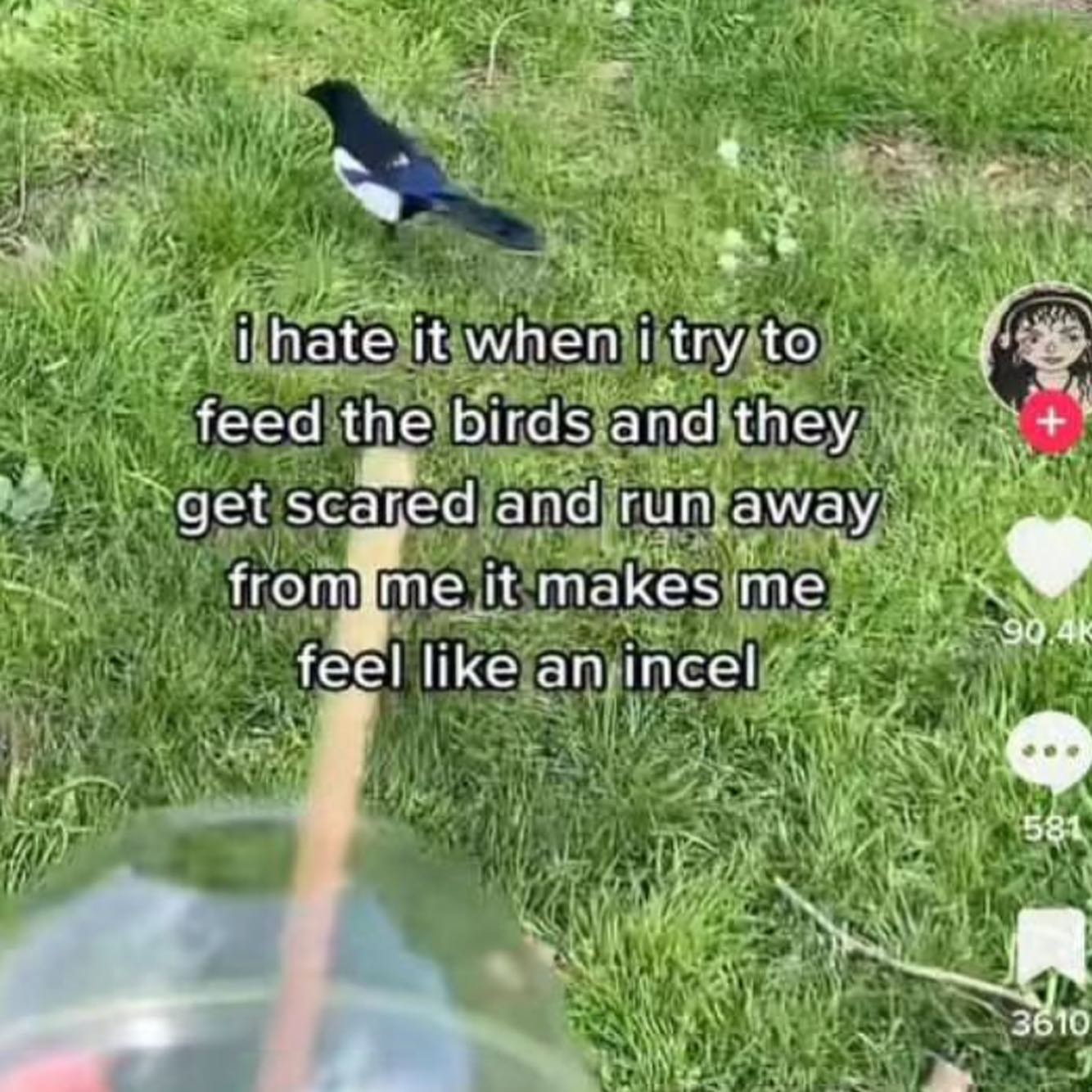 hate it when try to feed the birds and they get scared and run away from me it me 90.41 feel like incel 281