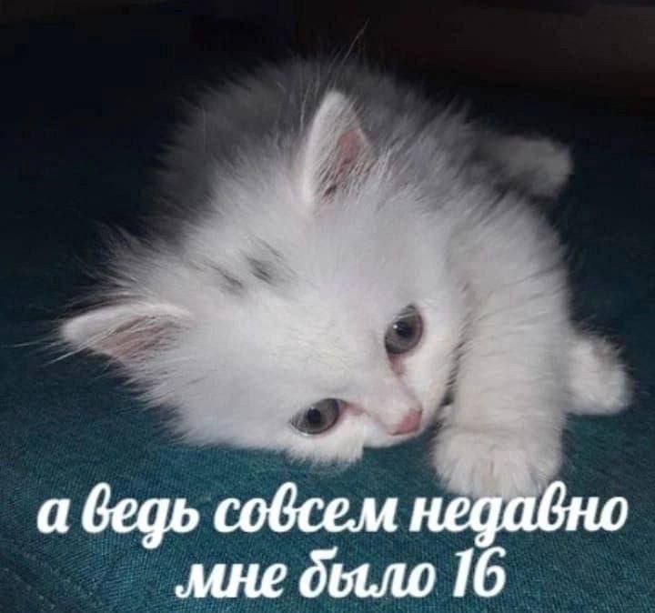 7 в а ведь совсем недавнс