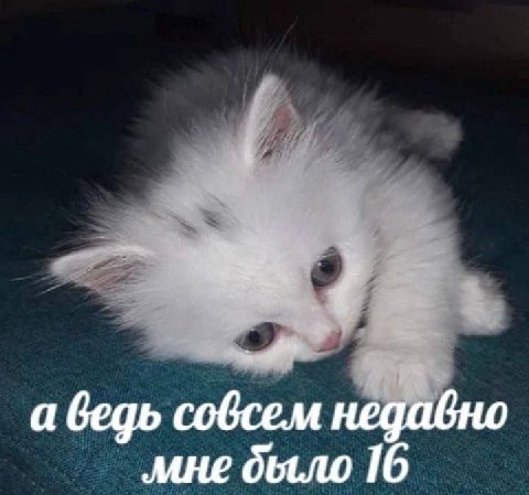 7 в а ведь совсем недавнс