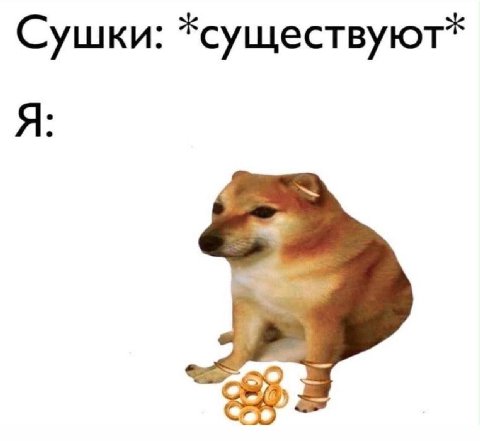 Сушки: *существуют*