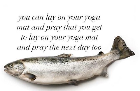 you can lay your yoga mat and pray that you get to lay on your yoga mat and pray the next day too