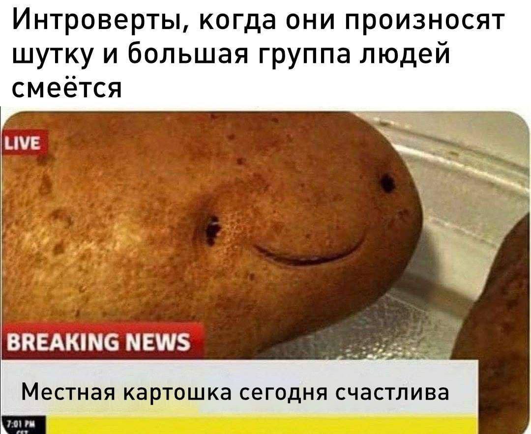 Интроверты, когда они произносят шутку и большая группа людей смеется к. BREAKING NEWS Местная картошка сегодня счастлива