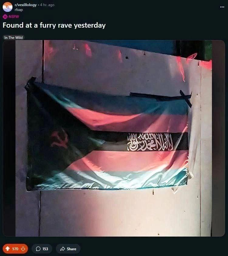 r/vexillology 4 ago rixap Found at a furry rave yesterday In The Wild ANS 2 4 7 А 1 Share