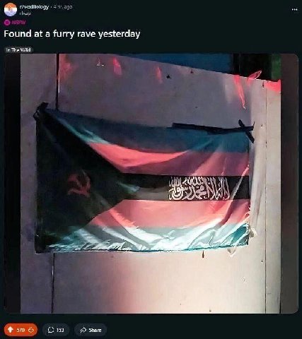 r/vexillology 4 ago rixap Found at a furry rave yesterday In The Wild ANS 2 4 7 А 1 Share