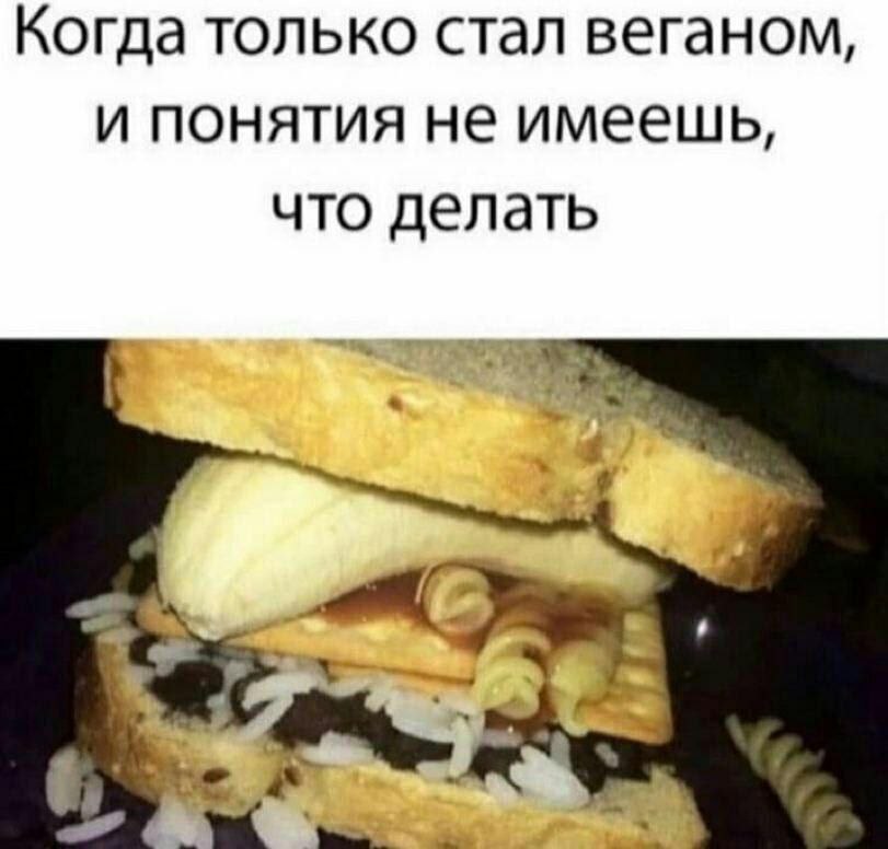 Когда только стал веганом, и понятия не имеешь, что делать