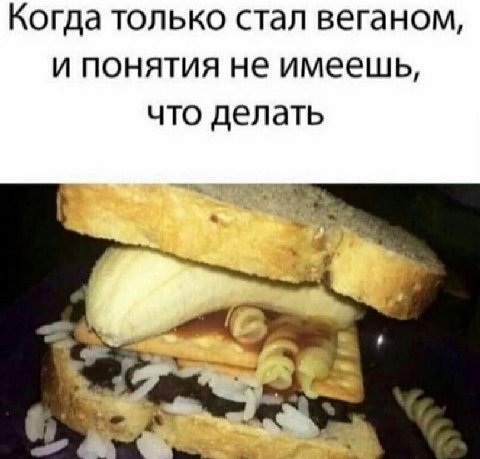 Когда только стал веганом, и понятия не имеешь, что делать