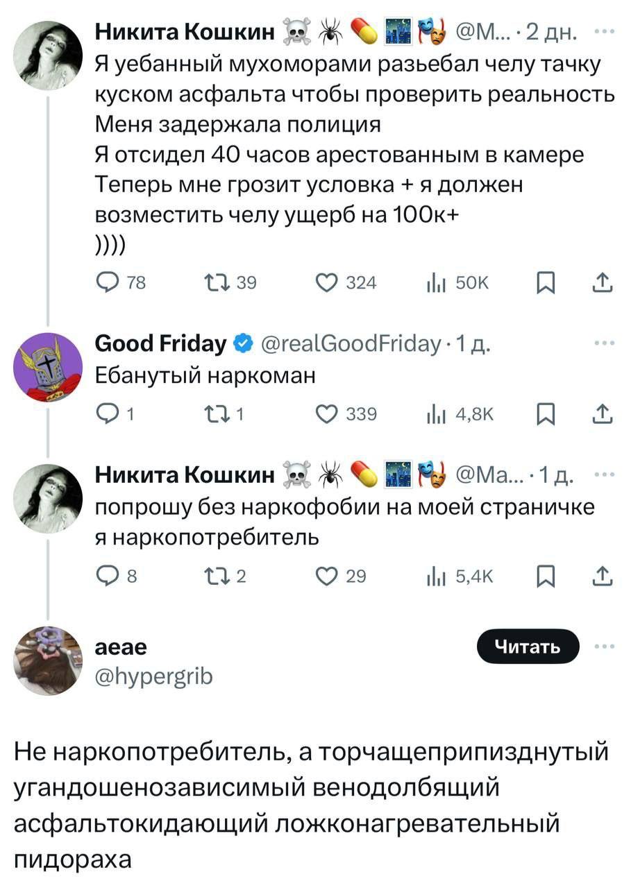 Никита Кошкин Я уебанный мухоморами разьебал челу тачку куском асфальта чтобы проверить реальность Меня задержала полиция Я отсидел 40 часов арестованным в камере Теперь мне грозит условка я должен во