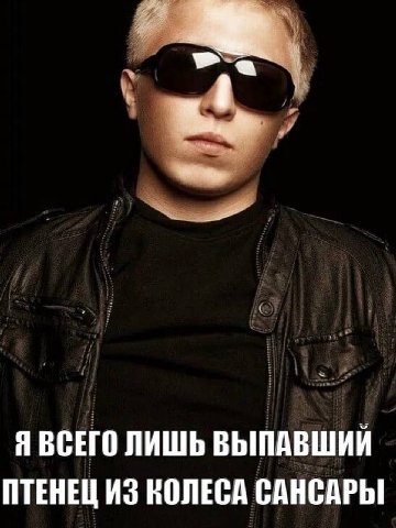 Я ВСЕГО ЛИШЬ ВЫПАВШИЙ ПТЕНЕЦ ИЗ КОЛЕСА САНСАРЫ