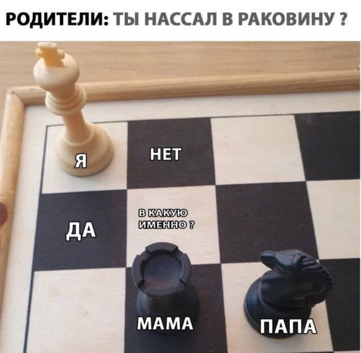 РОДИТЕЛИ: ТЫ НАССАЛ В РАКОВИНУ НЕТ ИМЕННО}: ДА МАМА ПАПА