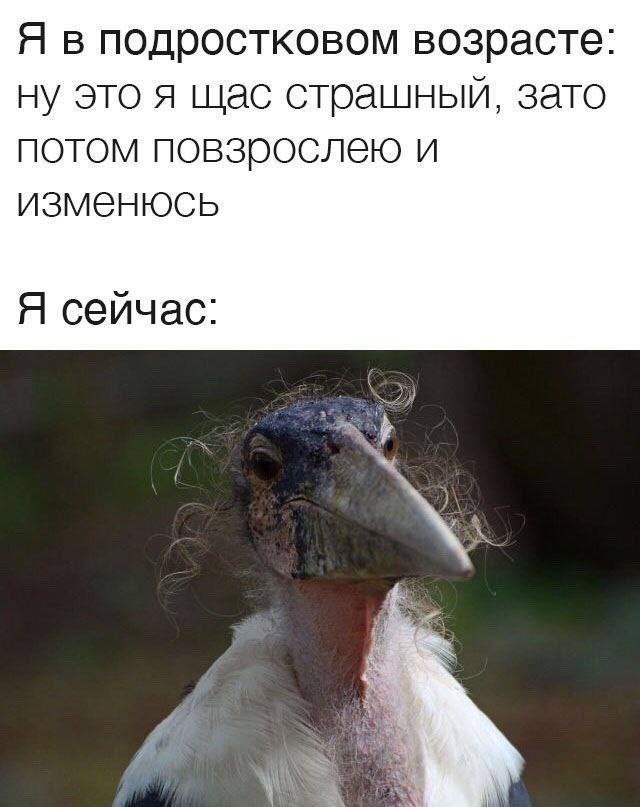 Я в подростковом возрасте: ну это я щас страшный, зато потом повзрослею и изменюсь Я сейчас: