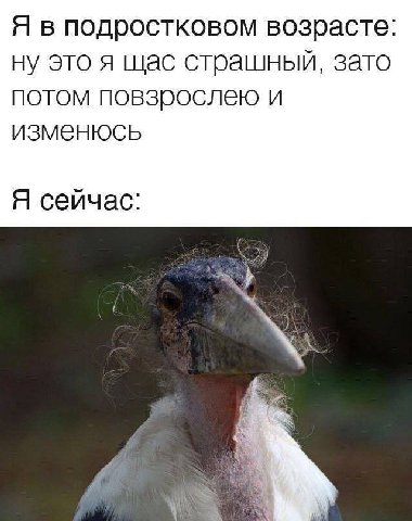 Я в подростковом возрасте: ну это я щас страшный, зато потом повзрослею и изменюсь Я сейчас: