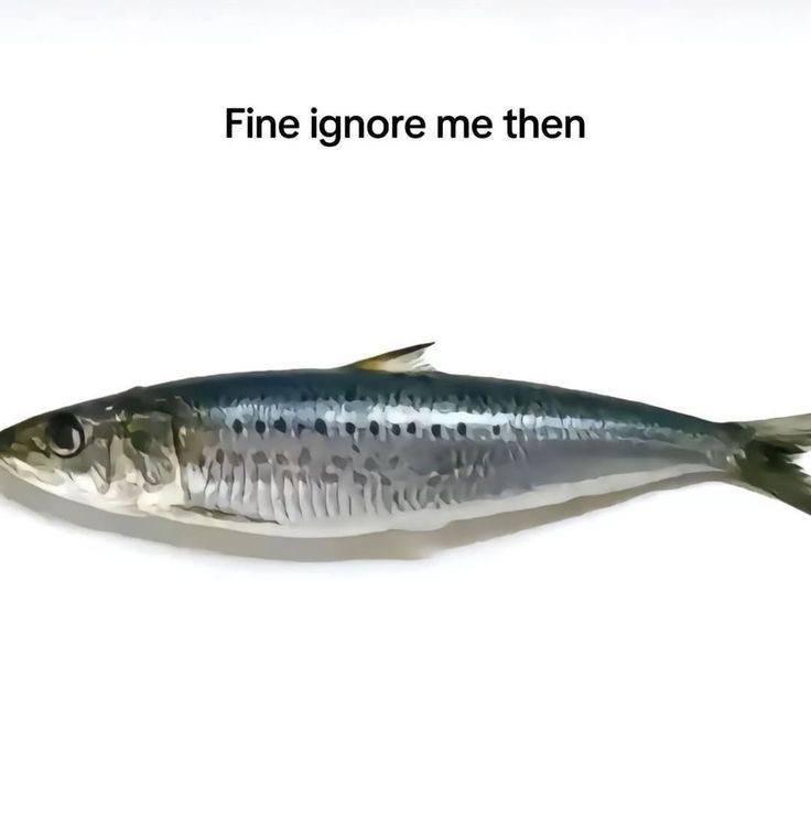 Fine ignore me then