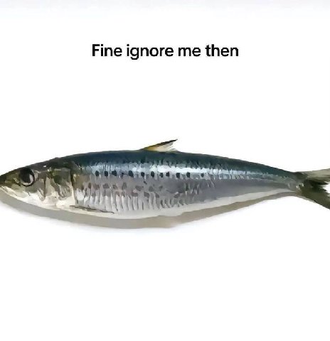 Fine ignore me then