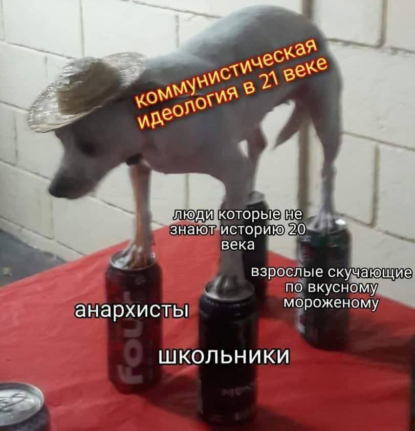 an дес С люди. которые не знают историю 20 века взрослые скучающие по вкусному мороженому анархисты ШКОЛЬНИКИ