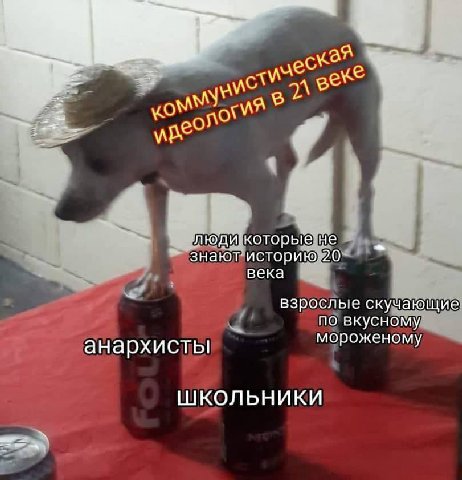 an дес С люди. которые не знают историю 20 века взрослые скучающие по вкусному мороженому анархисты ШКОЛЬНИКИ