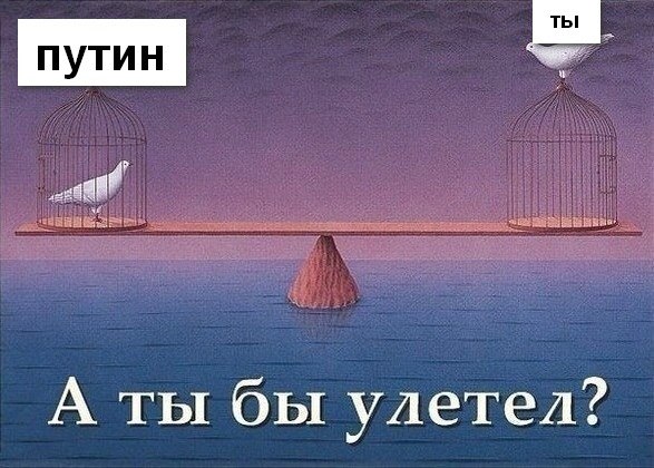 А ты бы улетел?