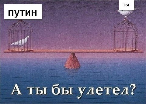 А ты бы улетел?