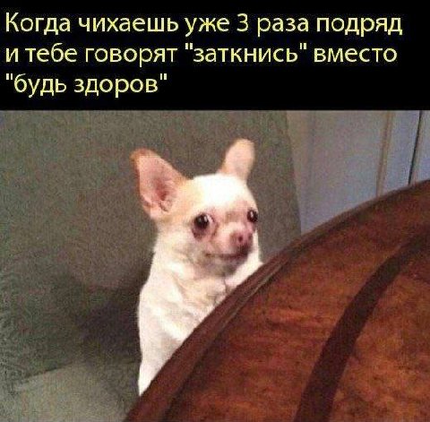 Когда чихаешь уже 3 раза подряд и тебе говорят "заткнись" вместо "будь здоров"