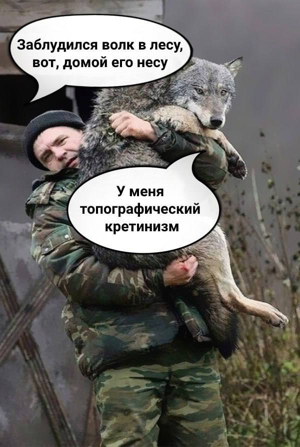 Заблудился волк в лесу, вот, домой его несу У меня топографический кретинизм