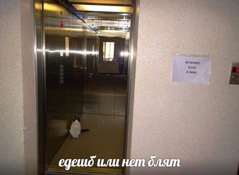 3) едешд или нет блят