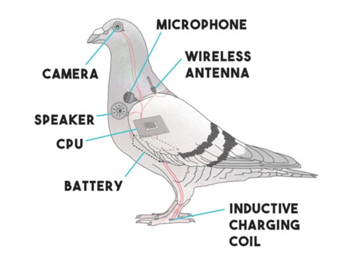MICROPHONE WIRELESS CAMERA ANTENNA A SPEAKER СРУ BATTERY INDUCTIVE CHARGING COIL