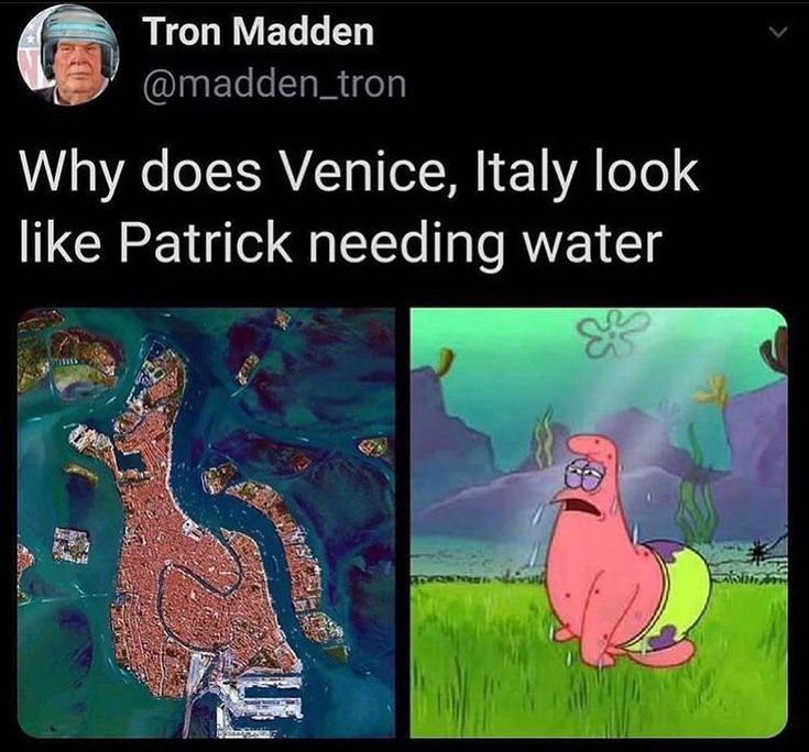 Tron Madden Why does Venice, Italy look like Patrick needing water у
