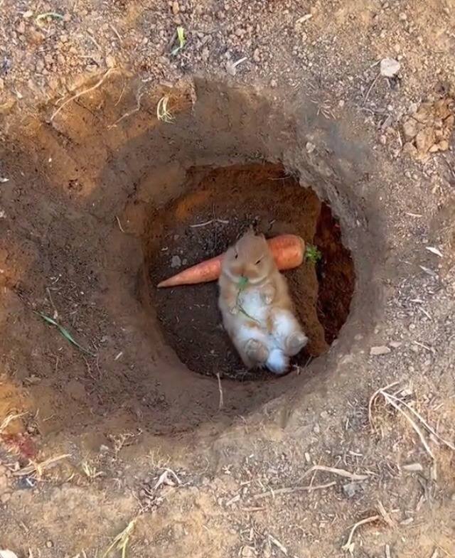 this is where i post from