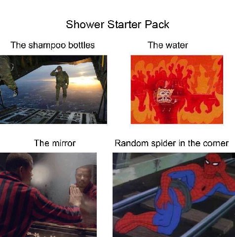 Shower Starter Pack The shampoo bottles The water The mirror Random spider in the corner