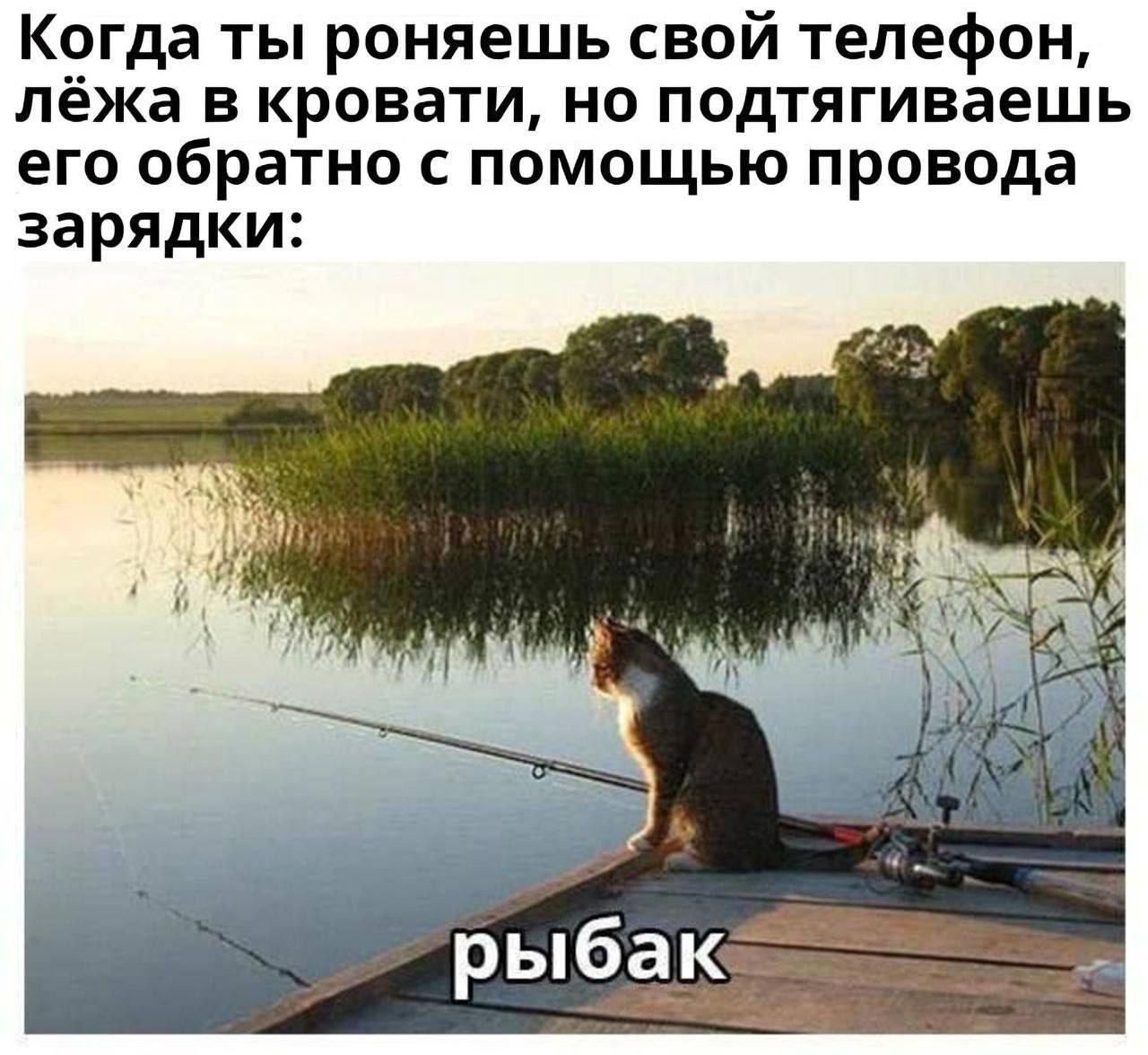 Когда ты роняешь свой телефон, лежа в кровати, но подтягиваешь его обратно с помощью провода зарядки: рыбак.