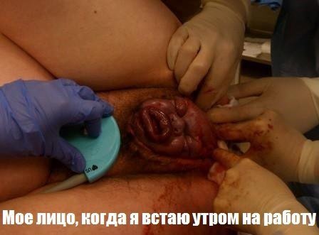 мое лицо когда я встаю утром на работу